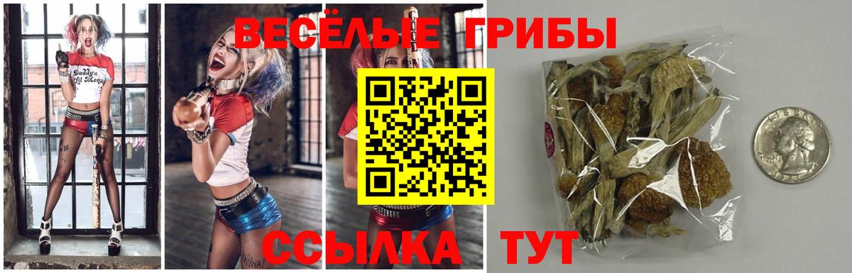Псилоцибиновые грибы Magic Shrooms  где найти наркотики  Барнаул  Вход с VPN 